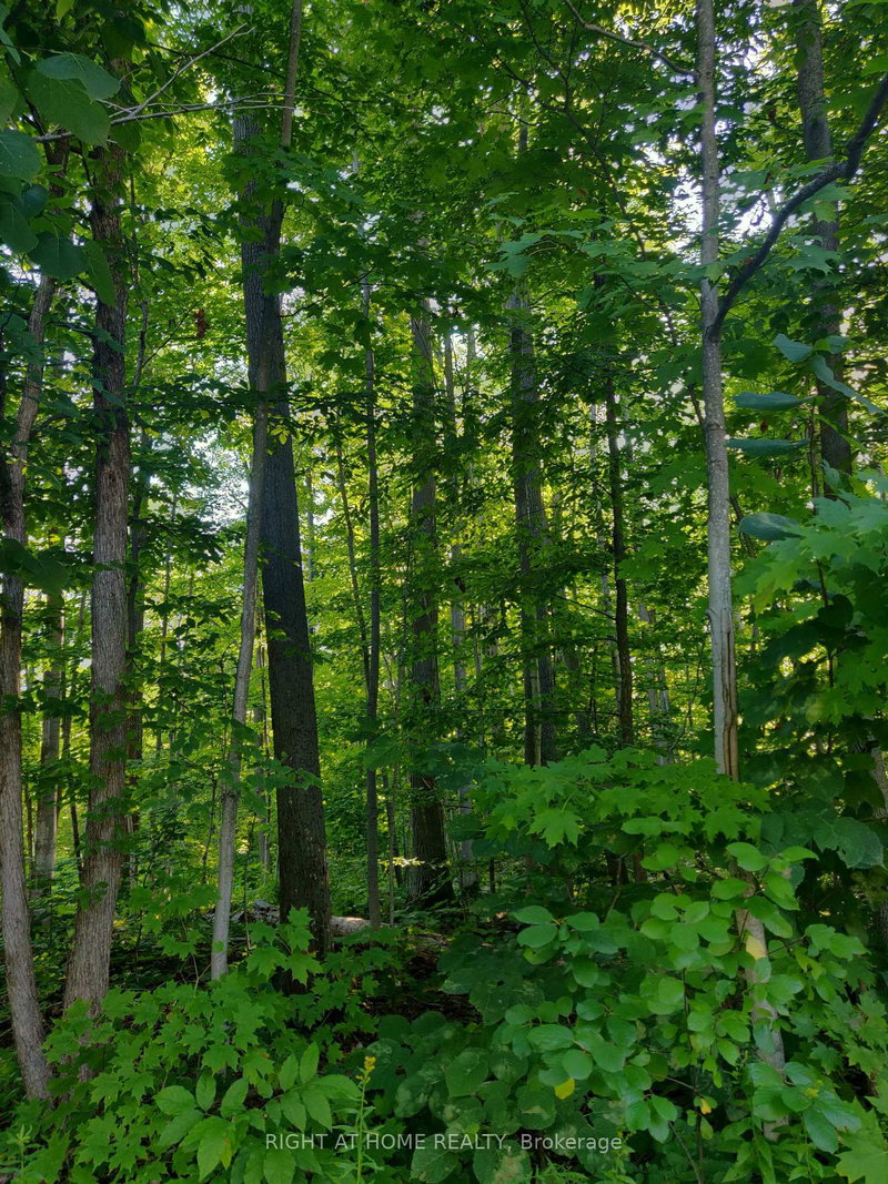 68 Wozniak Rd, Penetanguishene, L9M 1W5 | Image 2