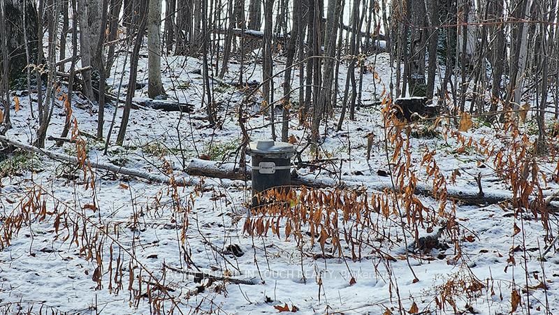 3857 Darling Island Rd S, Severn, L0K 1S0 | Image 3