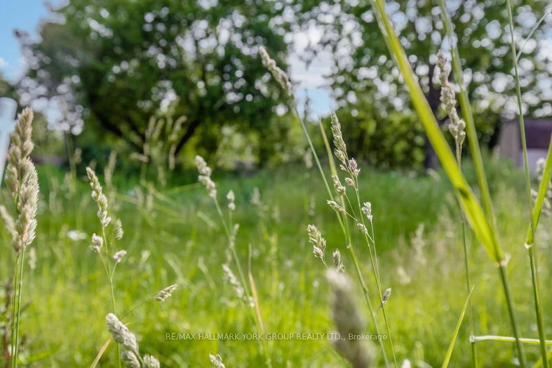 10 First St, Orillia, L3V 4A9 | Image 2