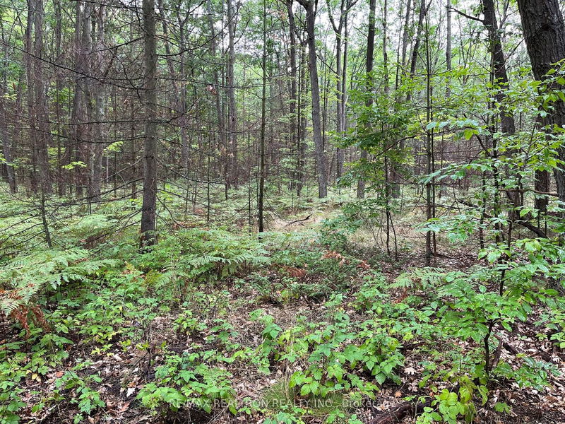 home for sale on 2234 Klondike Park Road