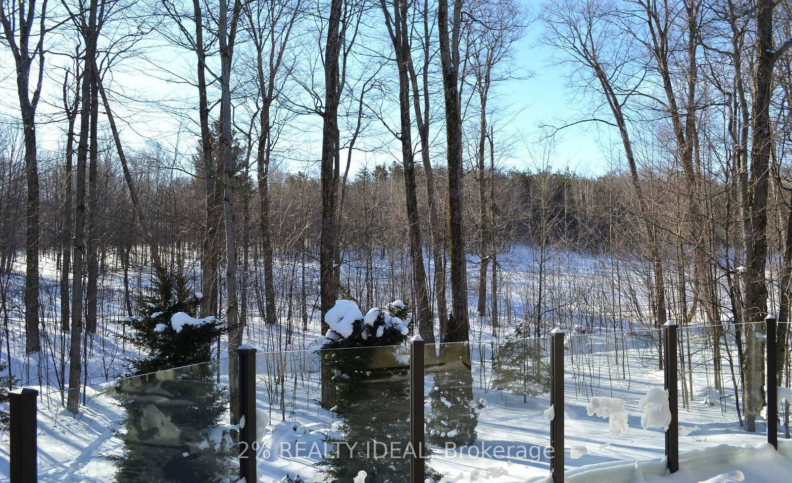 Listing Image 40