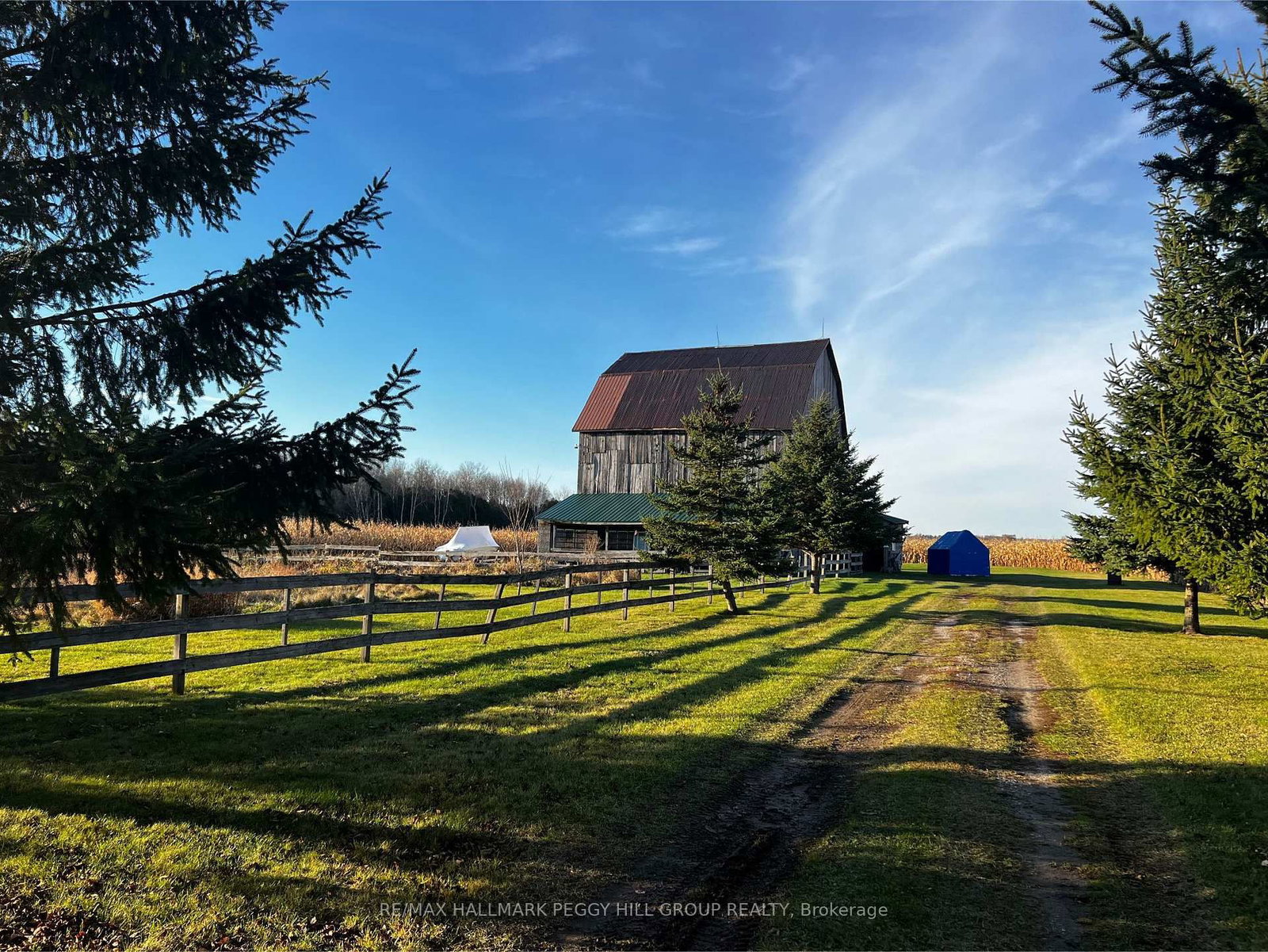 Listing Image 20