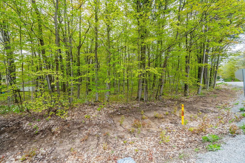 Lot 558 Forest Circ  Tiny, L9M 0H7 | Image 6