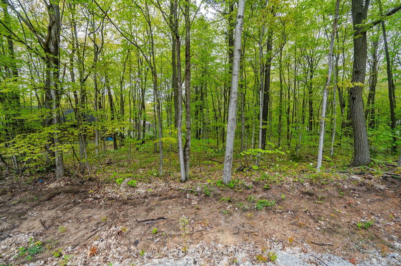 Lot 558 Forest Circ  Tiny, L9M 0H7 | Image 7