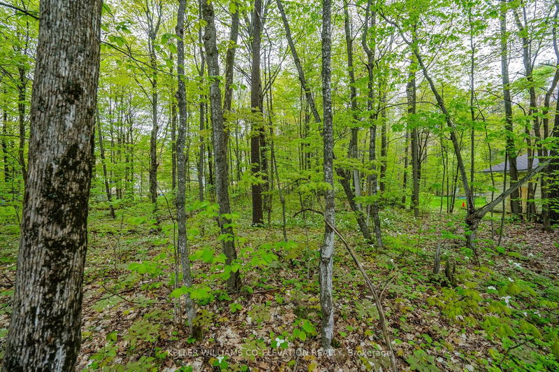 Lot 558 Forest Circ  Tiny, L9M 0H7 | Image 8