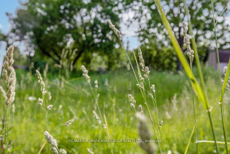 10 First St, Orillia, L3V 4A9 | Image 2