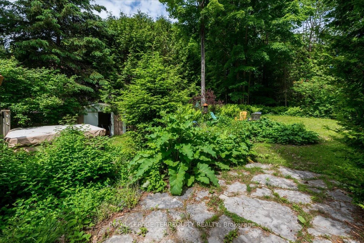 Listing Image 16