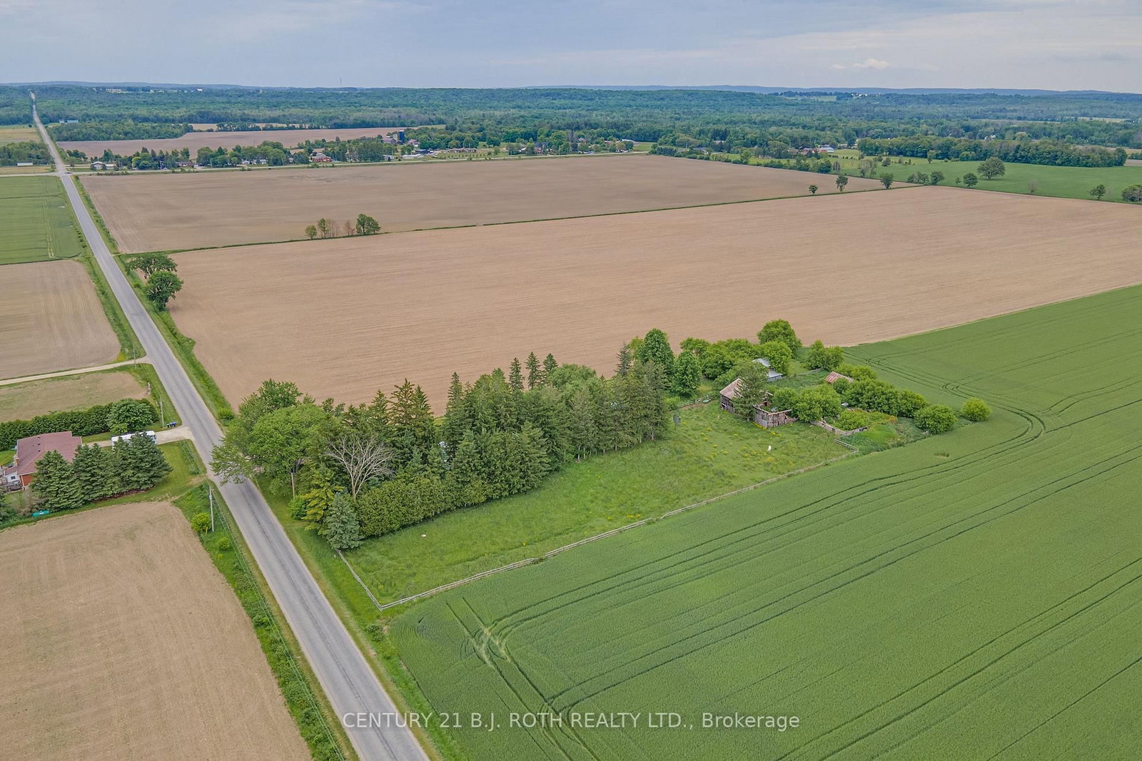 Listing Image 3