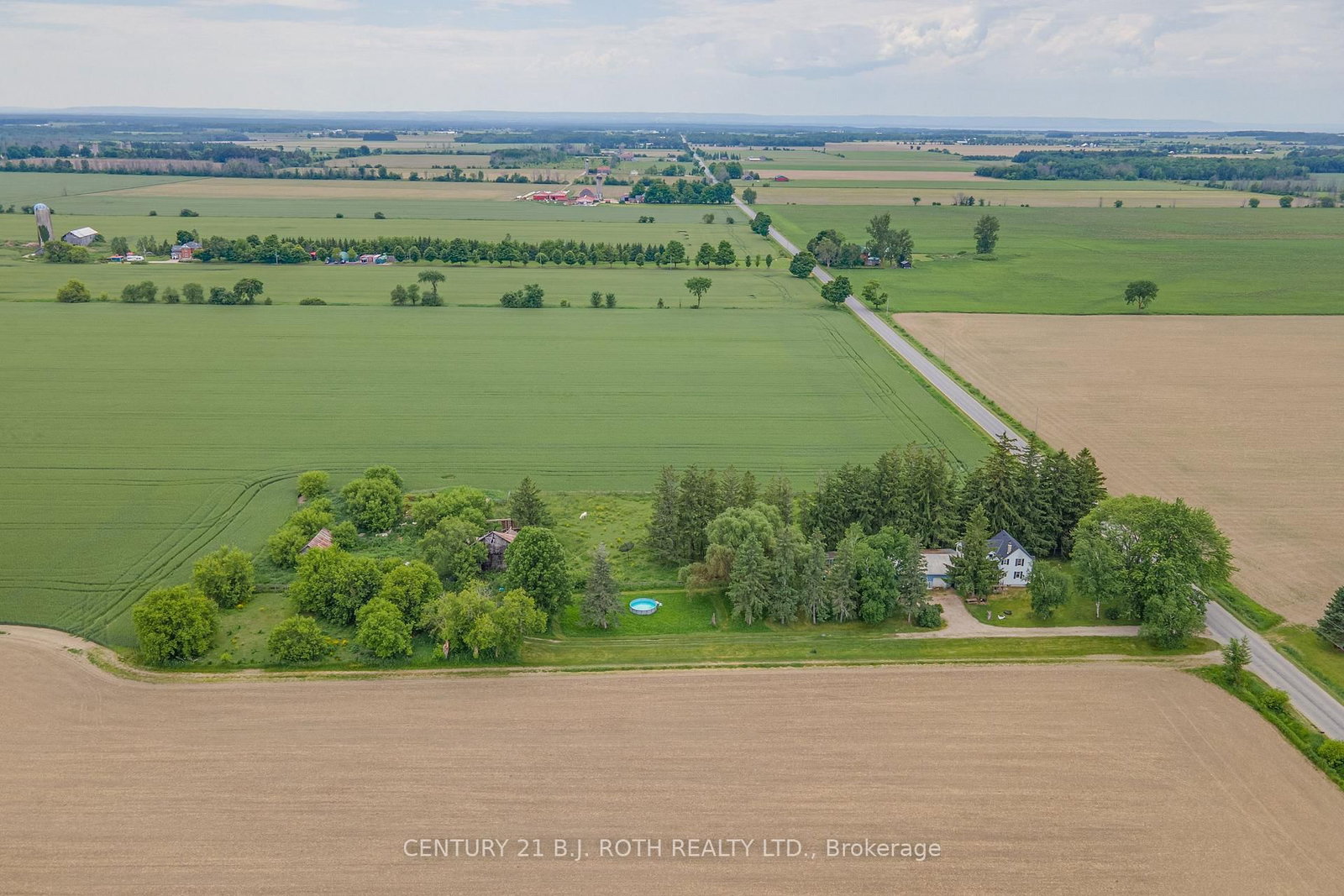 Listing Image 4