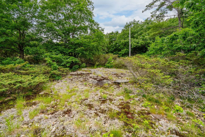 Lot 2 Delta Rd  Severn, L0K 2B0 | Image 22