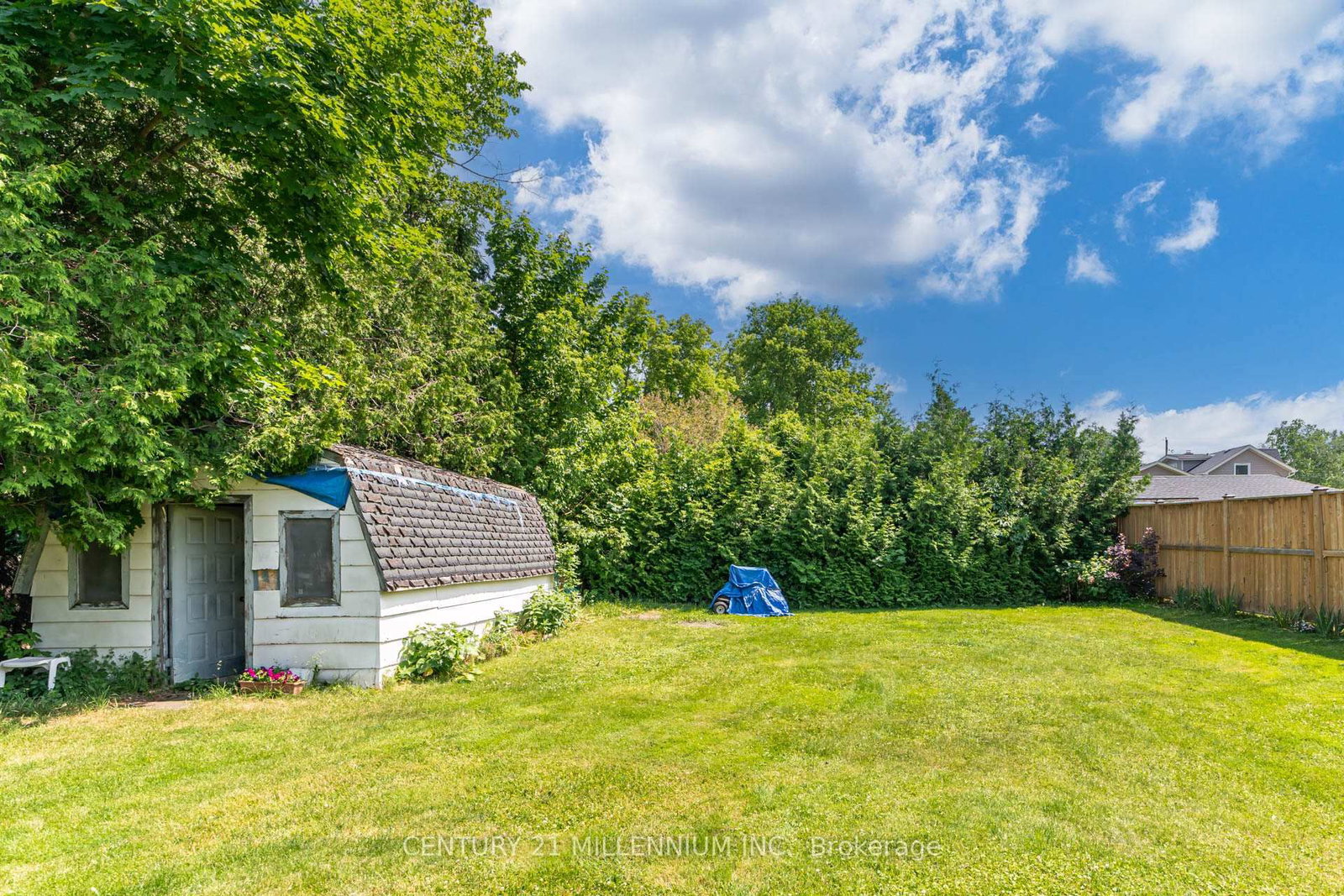 Listing Image 32