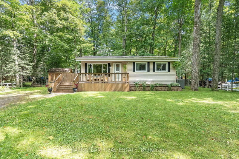 home for sale on 29 Beech Tree Street