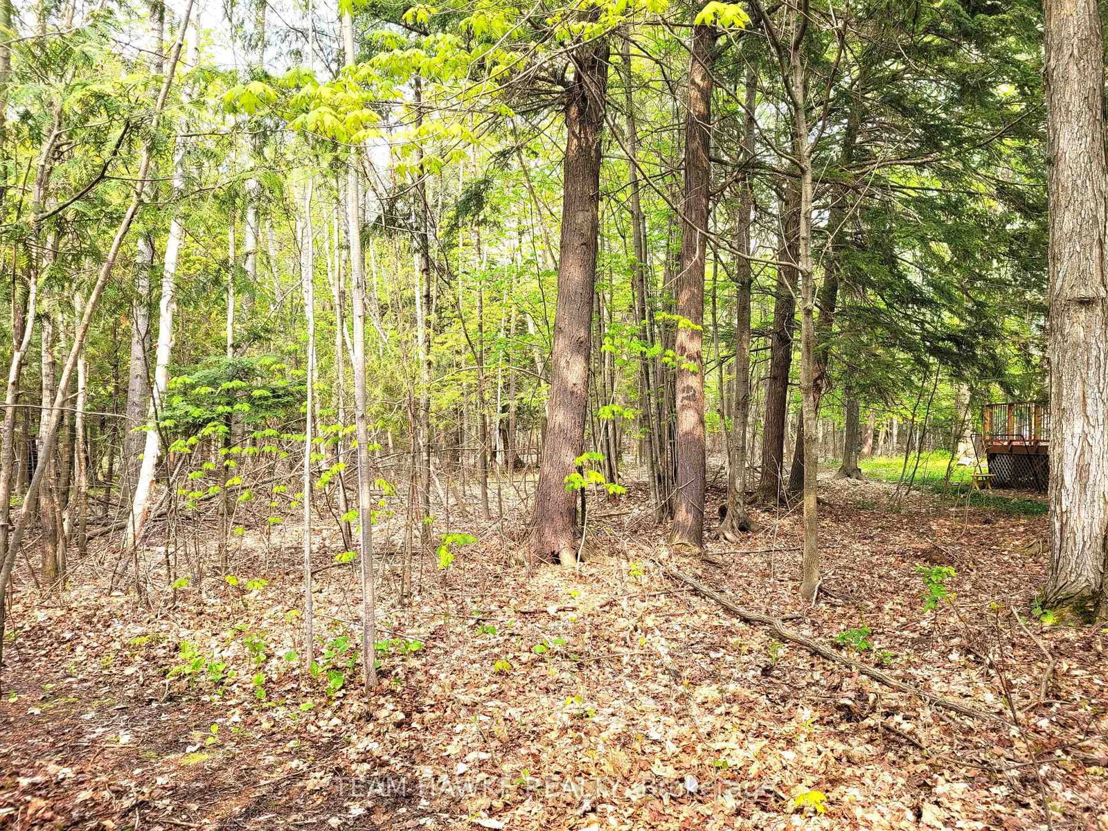Vacant Land sold at LOT 504 Seneca Crescent, Tiny, Rural Tiny, L9M 0C9 - MLS: S9051452