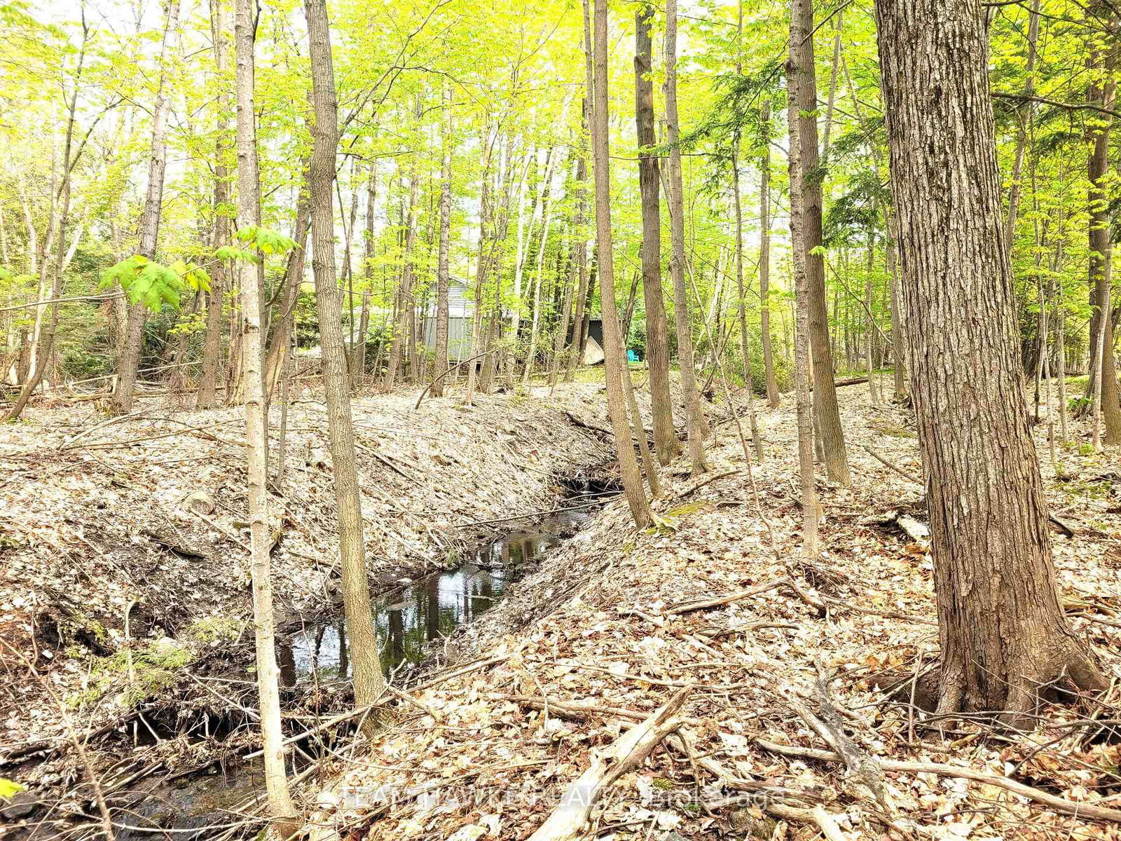 Vacant Land sold at LOT 504 Seneca Crescent, Tiny, Rural Tiny, L9M 0C9 - MLS: S9051452
