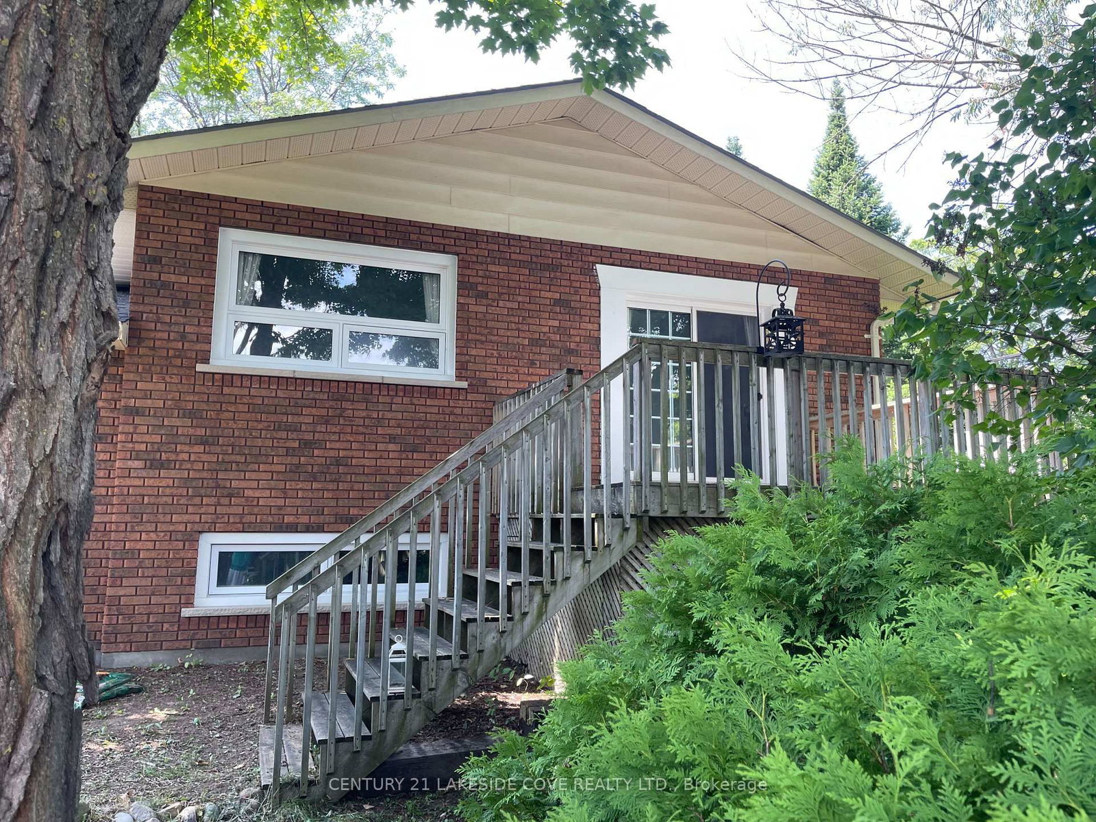 Listing Image 4