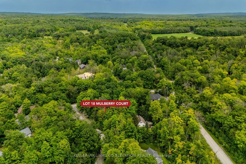 Lot 18 Mulberry Crt  Tiny, L9M 0H8 | Image 4