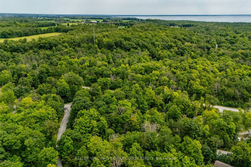 Lot 18 Mulberry Crt  Tiny, L9M 0H8 | Image 6