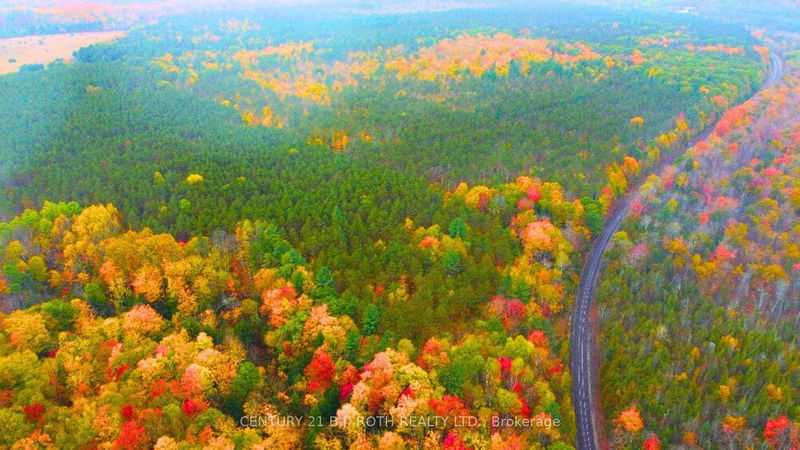 PT 7 8 Line N Oro-Medonte, L0K 1E0 | Image 10