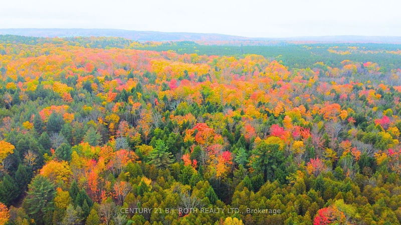 PT 7 8 Line N Oro-Medonte, L0K 1E0 | Image 5