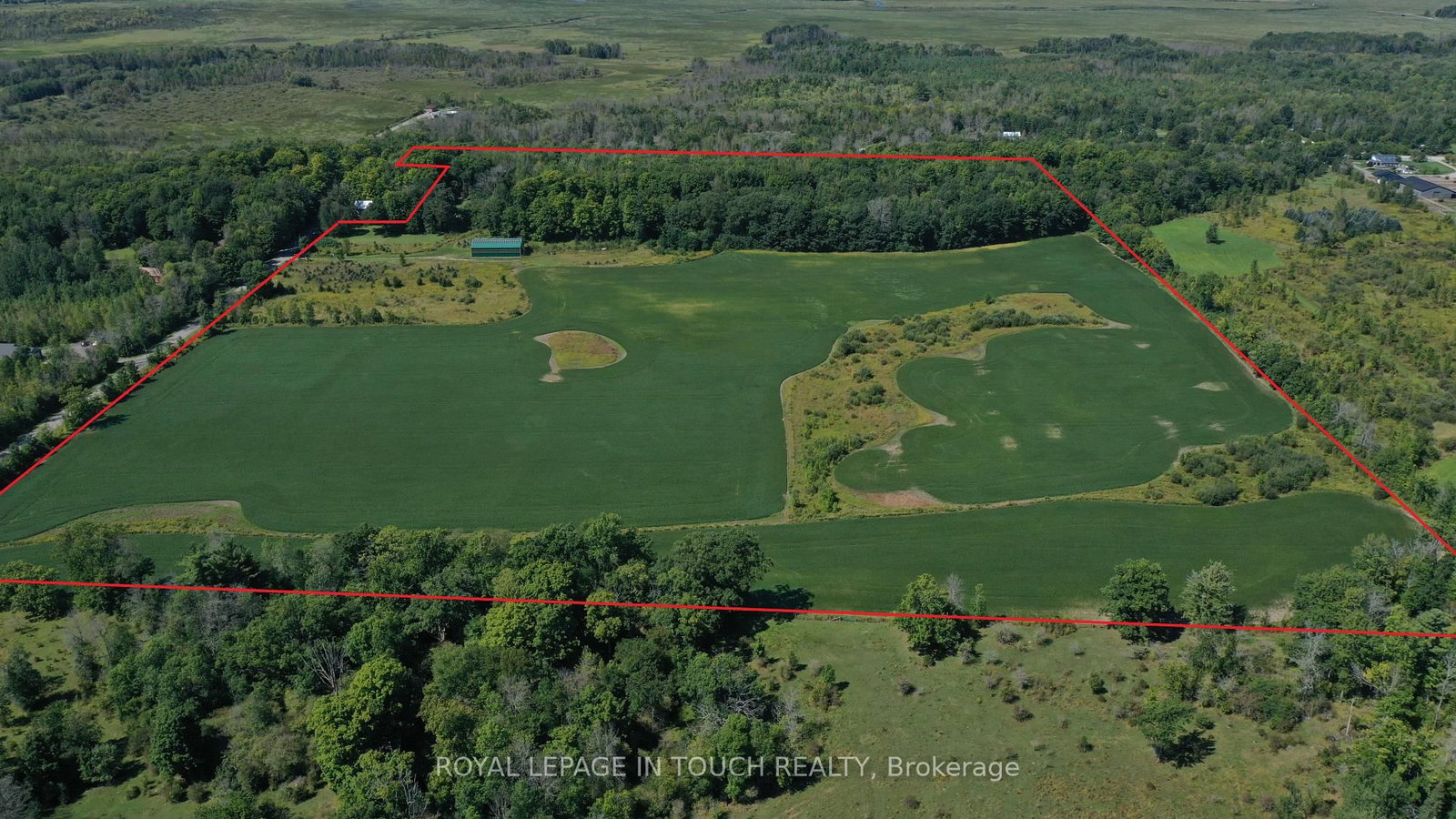 Listing Image 3