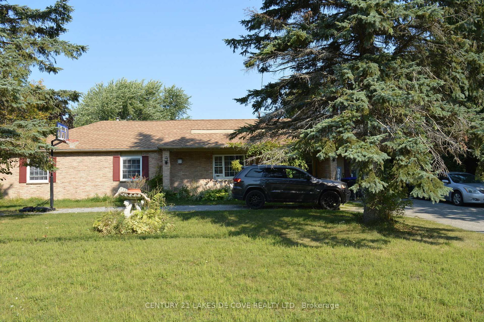 Listing Image 5