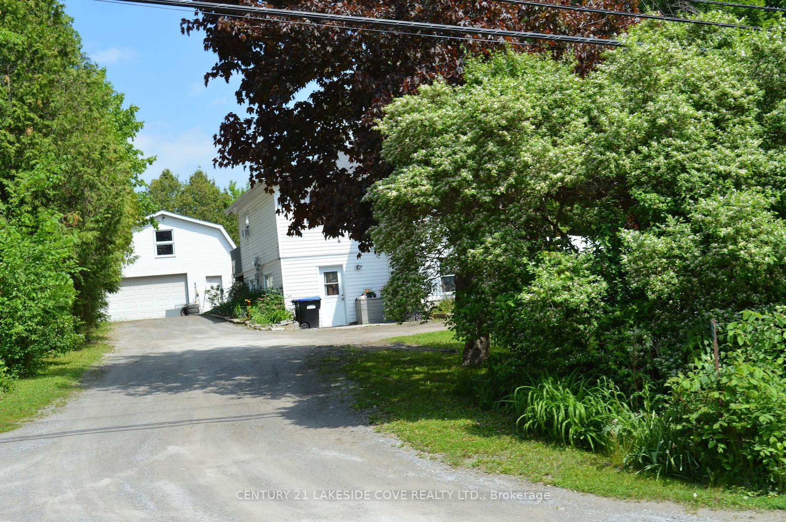 Listing Image 4