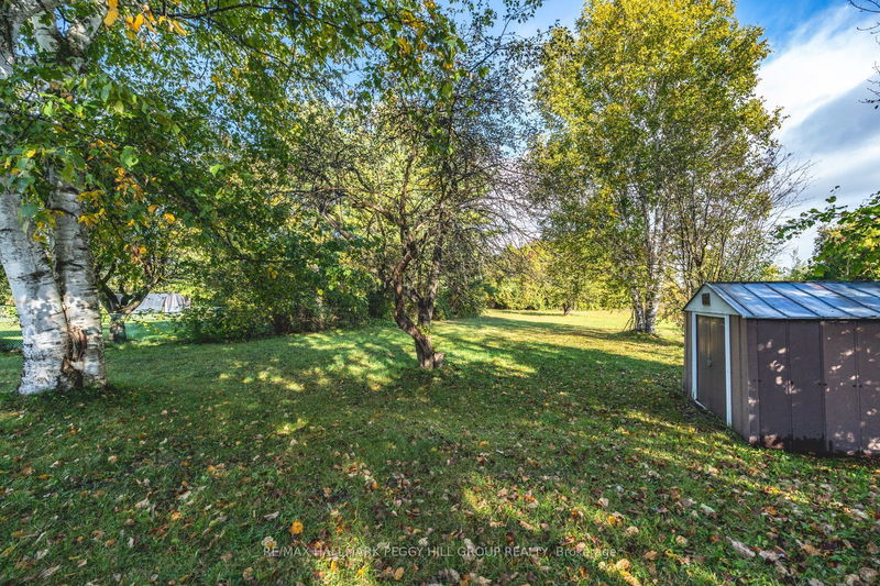 215 Phillips St  Barrie, L4N 3V2 | Image 14