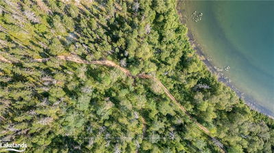 Unit Lot 4 —  MUNRO LAKE Rd, Black River Matheson - Matheson Unorganized image-0-1