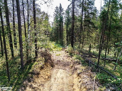Unit Lot 4 —  MUNRO LAKE Rd, Black River Matheson - Matheson Unorganized image-0-3