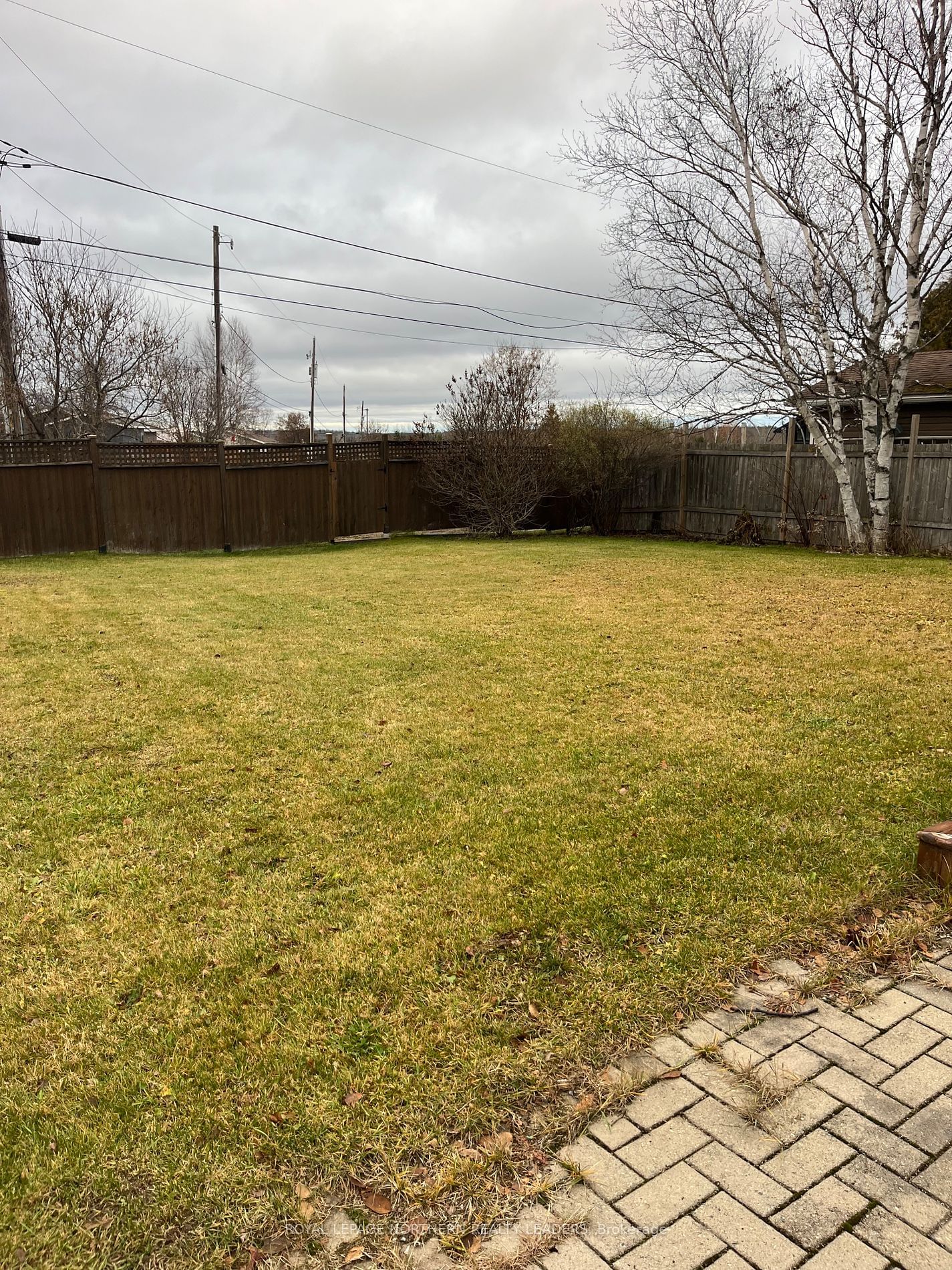 Listing Image 25