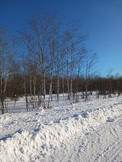 Lot 11 Con 5 Connaught Rd, Timmins - TM - Outside East image-0-3