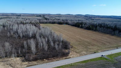 234038 Dairy Lane, Evanturel - 