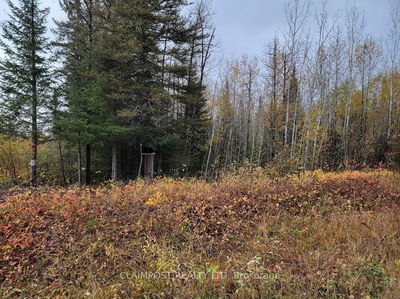 Lt 14 C 8 Clute, PcL 375 SEC NEC Township, Cochrane - Cochrane Unorganized image-0-2
