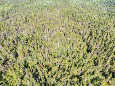 Unit Lot 12 —  MUNRO LAKE Rd, Black River Matheson - Matheson Unorganized image-0-1