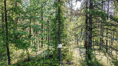 Unit Lot 12 —  MUNRO LAKE Rd, Black River Matheson - Matheson Unorganized image-0-2