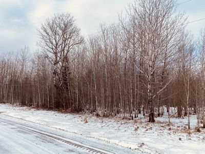 LOT 25 KENNEDY Rd, Cochrane - Cochrane Unorganized image-0-3