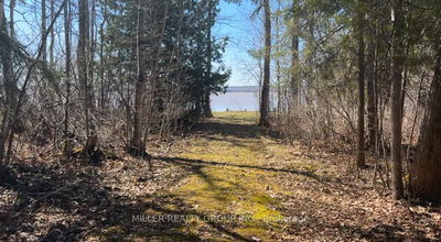692 Dawson Point Rd, Temiskaming Shores -  image-0-1