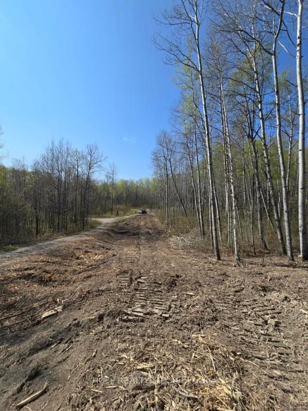 211-218 Farrah Avenue