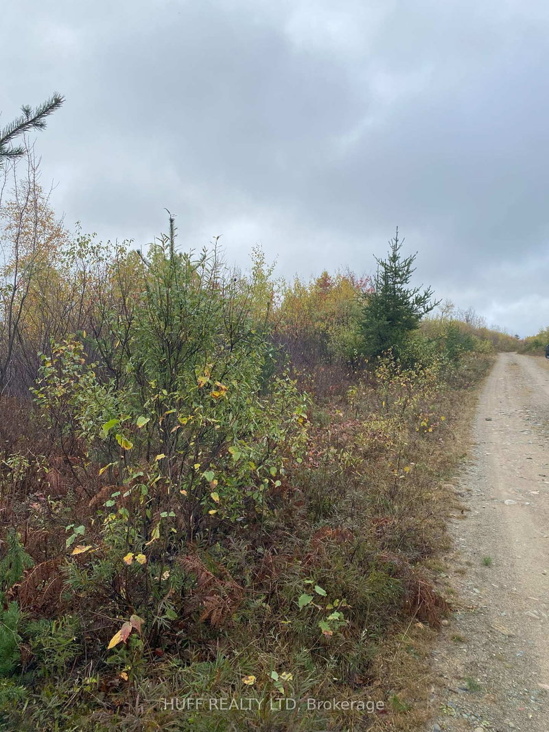 Lt 1 Con 6 54R-6390 Lot 1 Con 6 Marter TWP Road