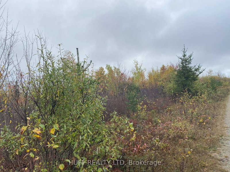 Lt 1 Con 6 54R-6390 Lot 1 Con 6 Marter TWP Road