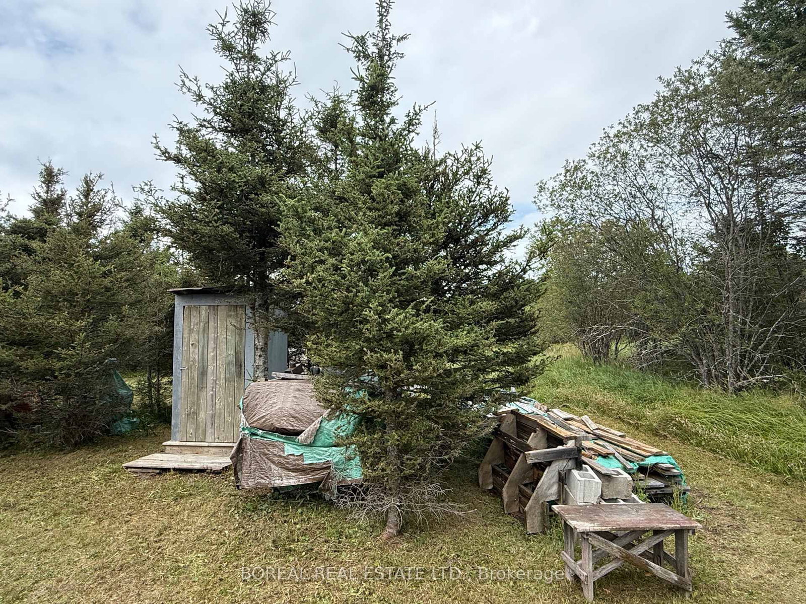 Listing Image 12