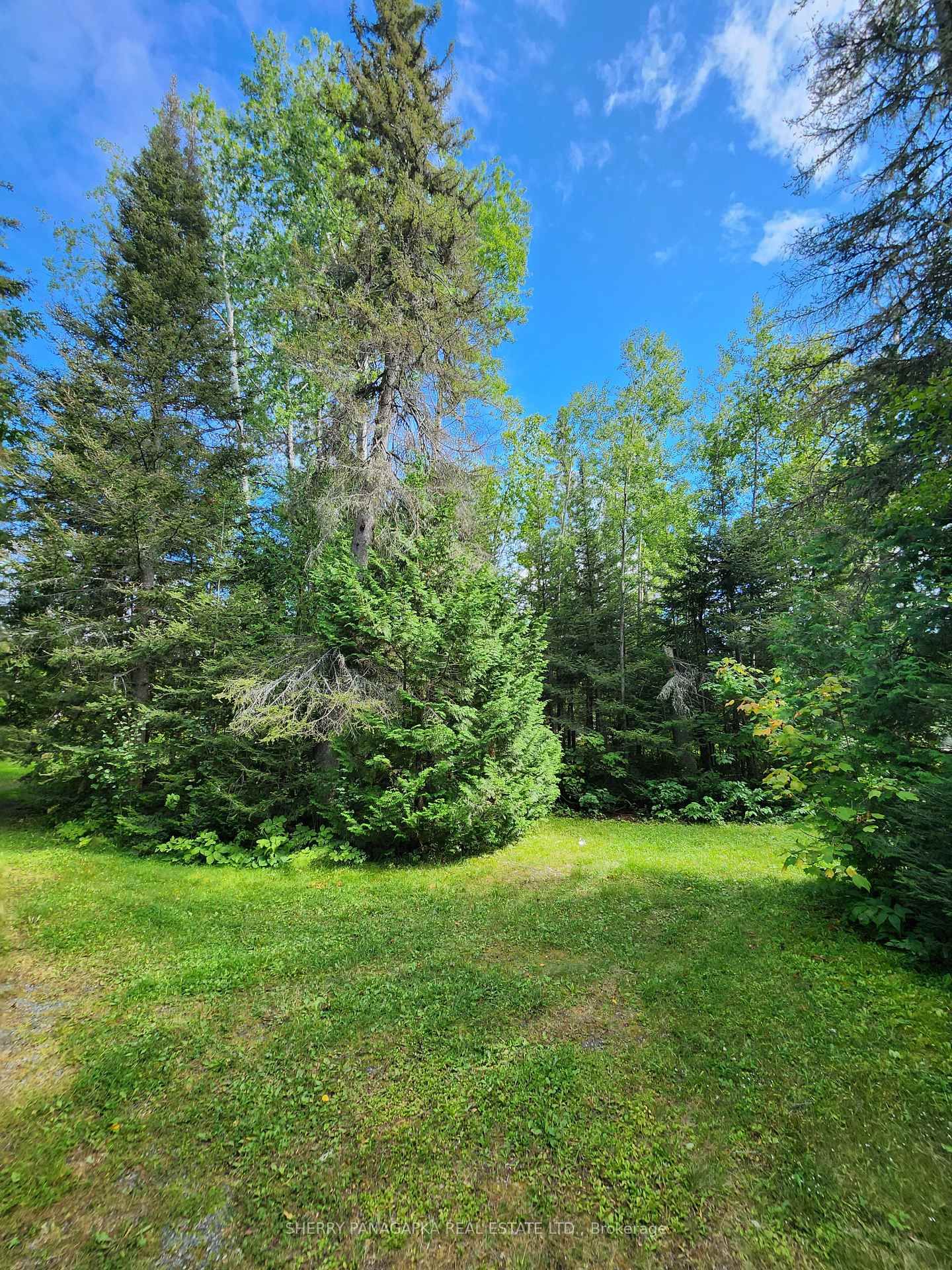Listing Image 29