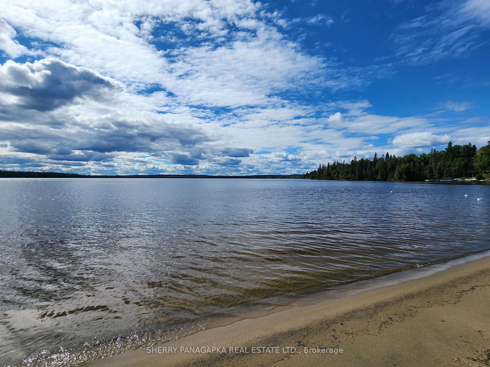 Listing Image 49