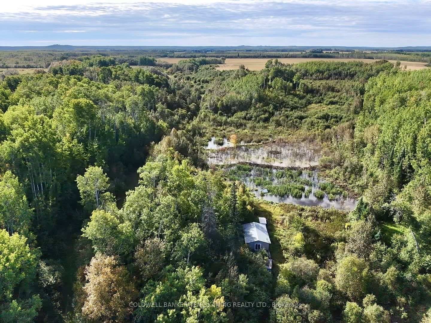 Lot 1 CAMPBELL'S Road • Timiskaming, ON photo 43