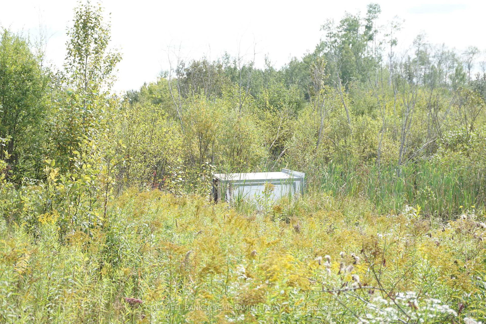 Listing Image 24
