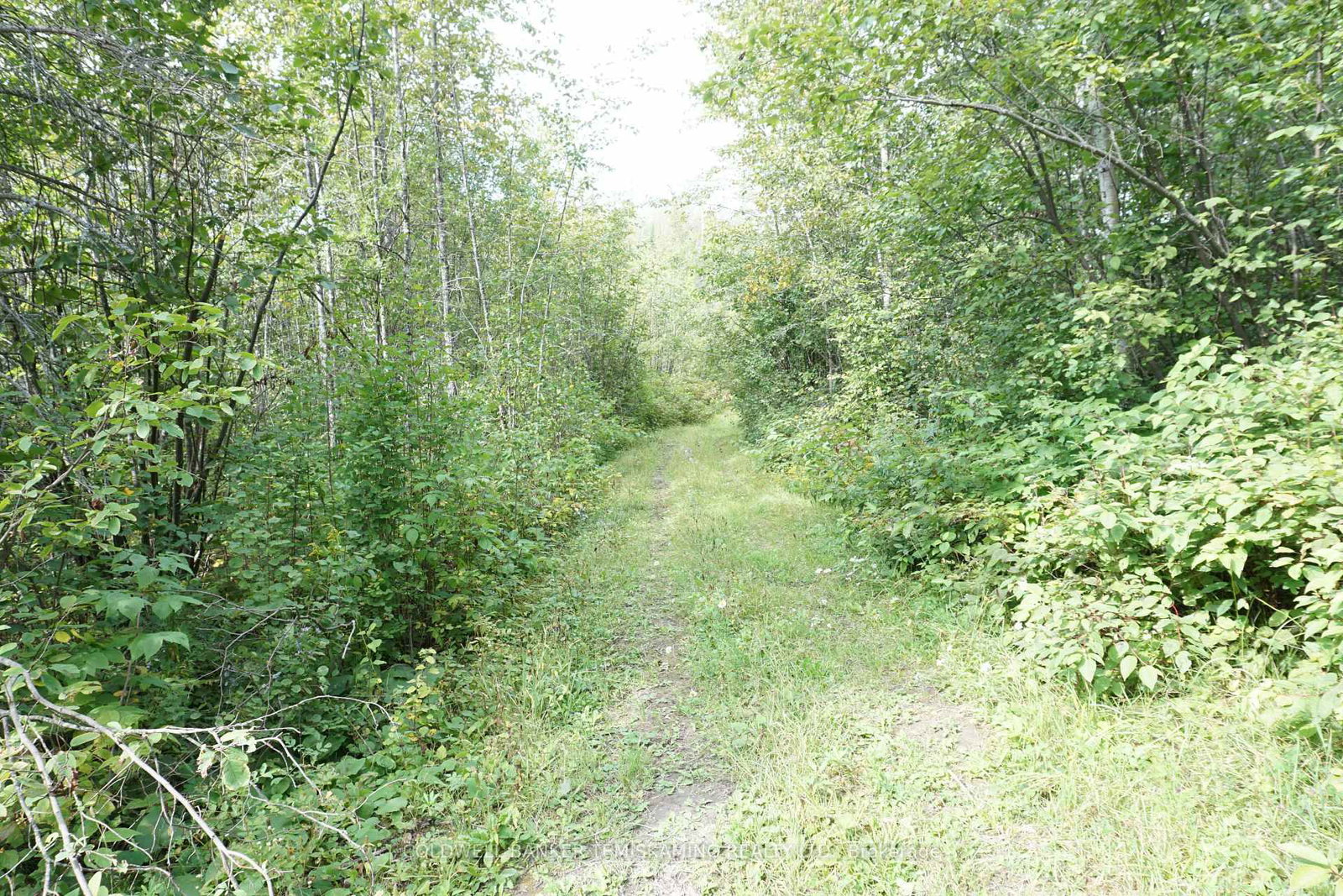 Listing Image 28