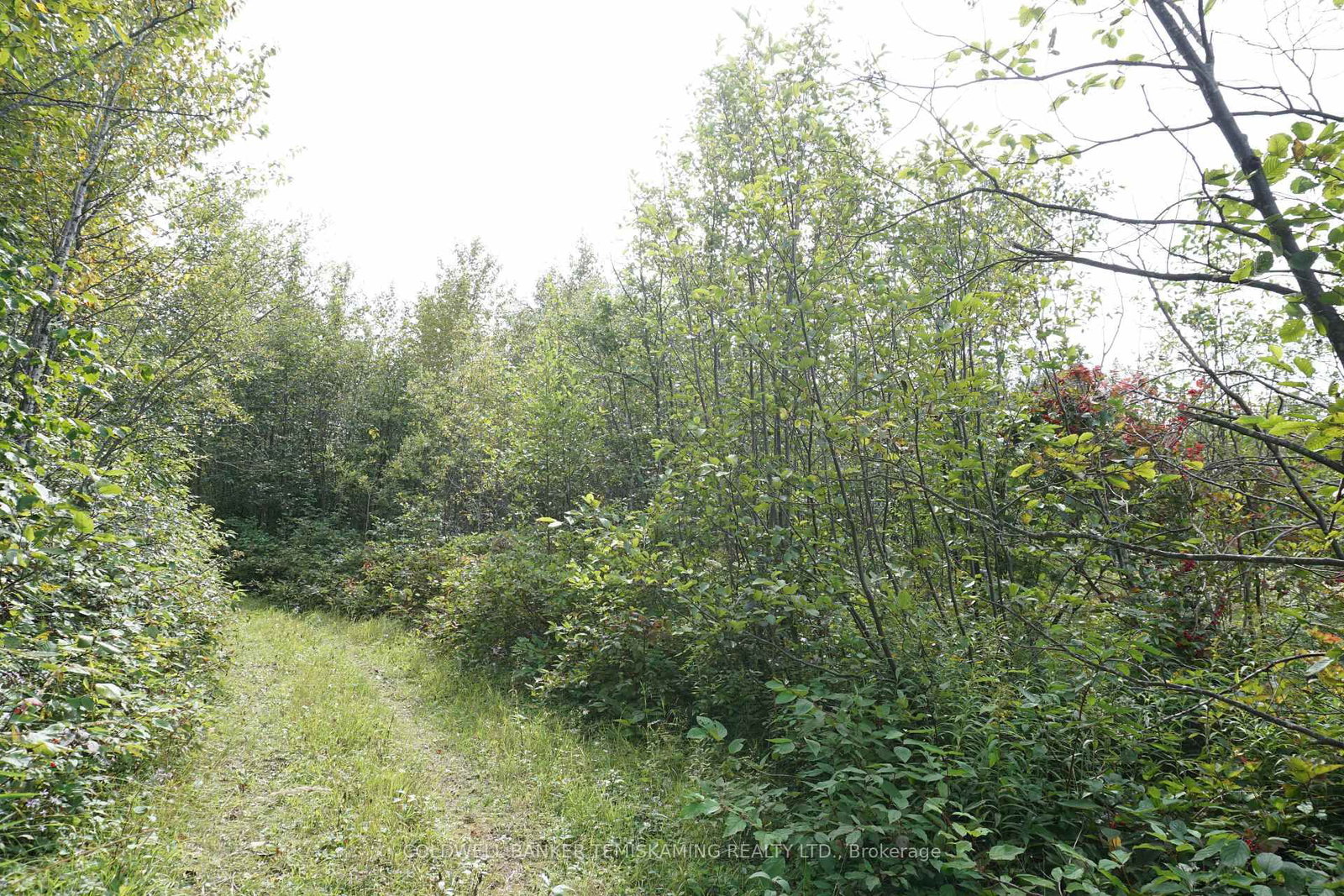 Listing Image 29