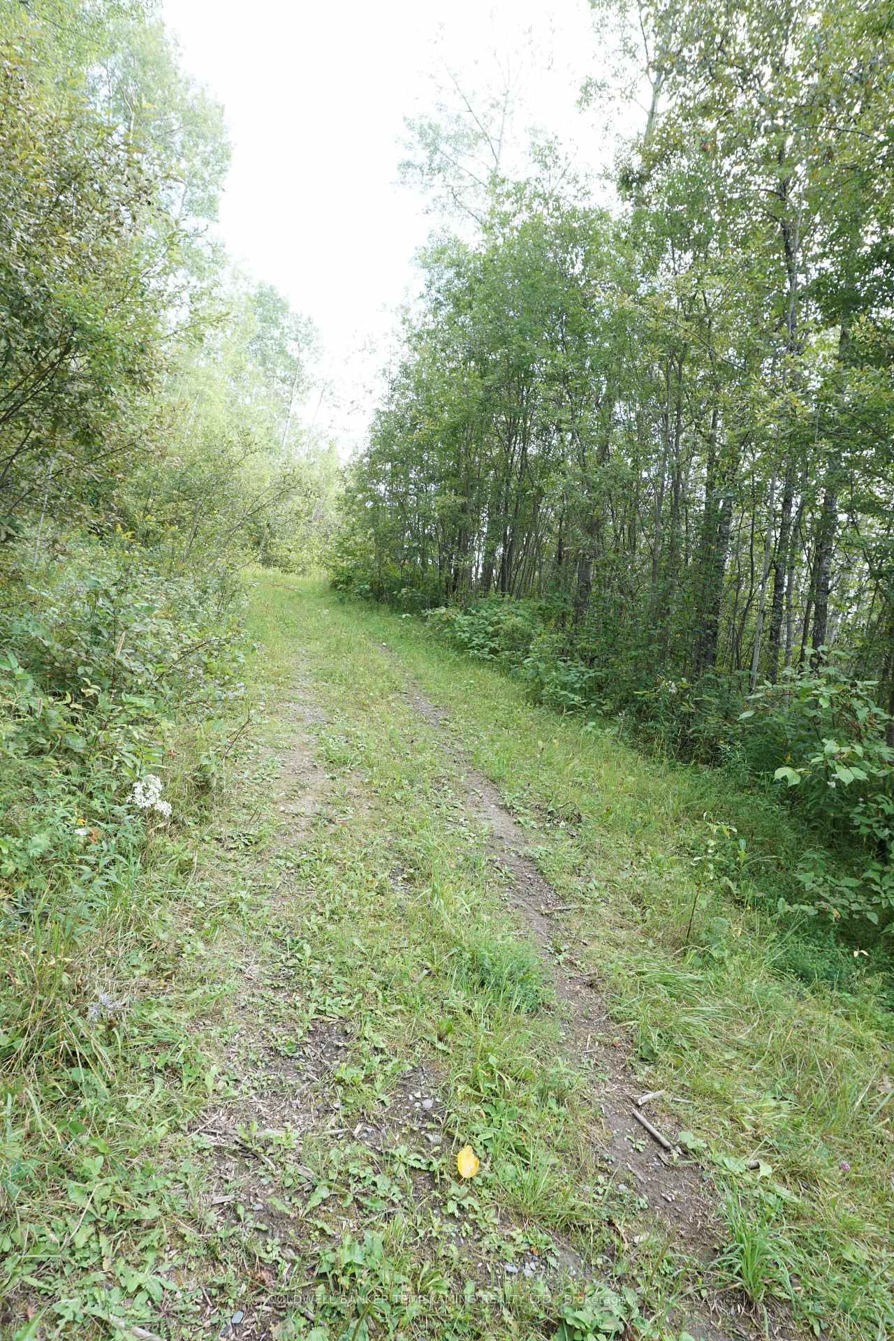 Listing Image 30