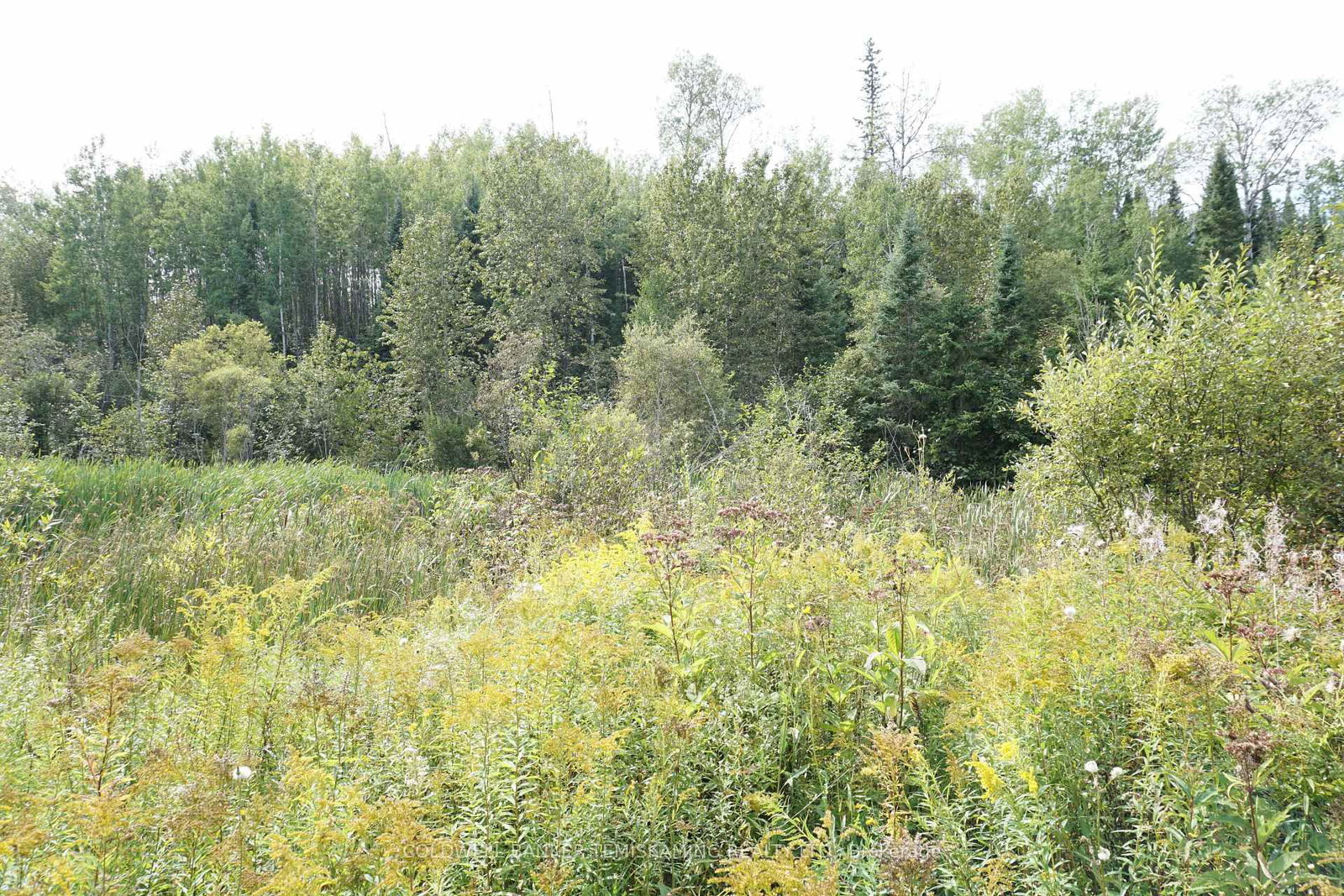 Lot 1 CAMPBELL'S Road • Timiskaming, ON photo 25