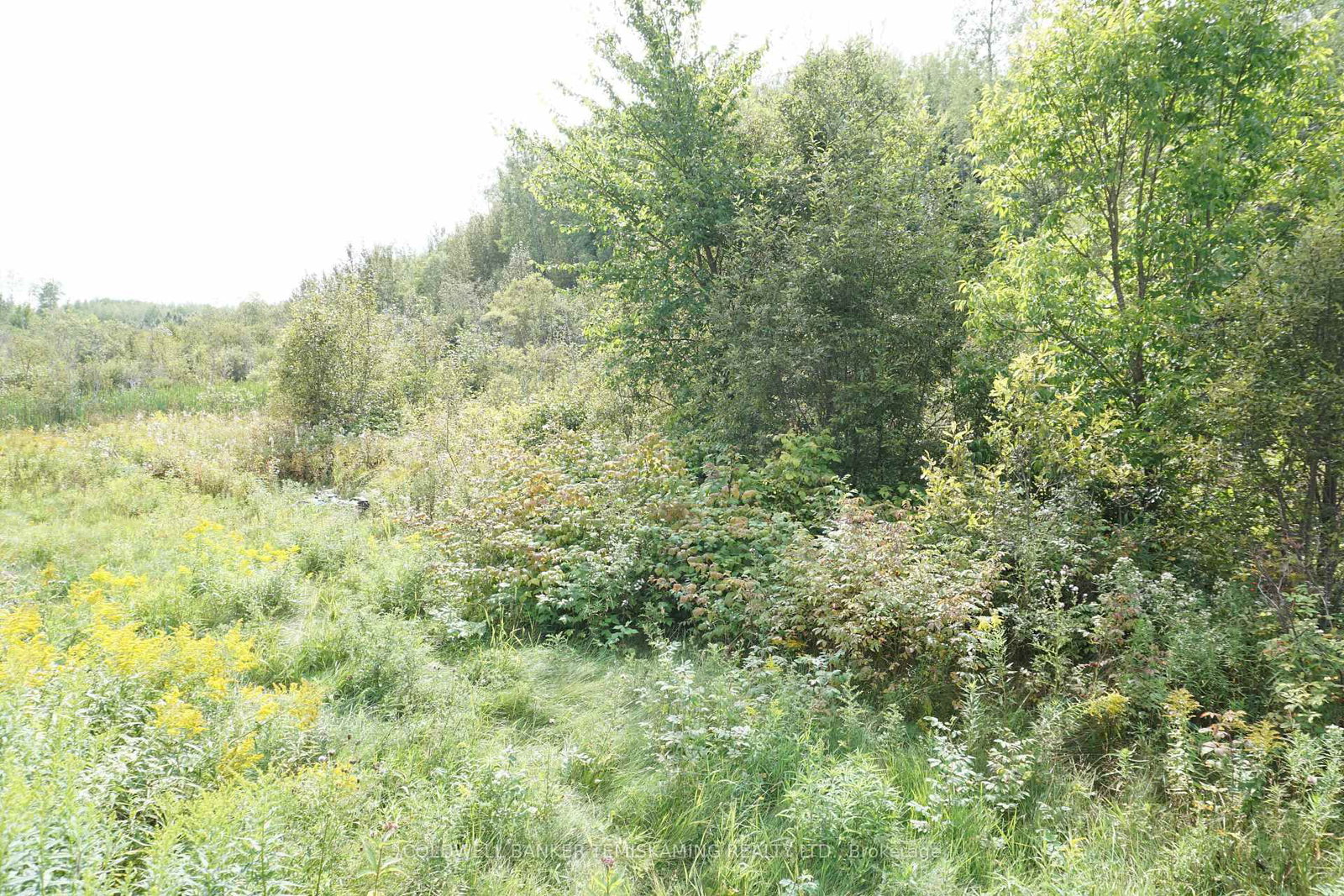 Listing Image 33